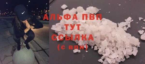 apvp Аша