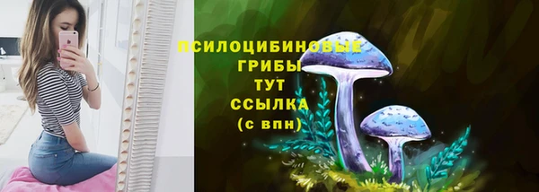кристаллы Новозыбков
