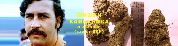 дурь Новодвинск