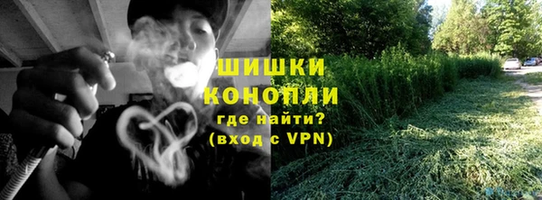 прущие грибы Нефтегорск