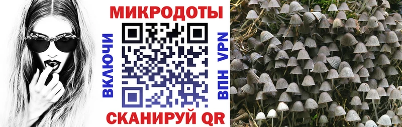 Псилоцибиновые грибы прущие грибы  Новотроицк 