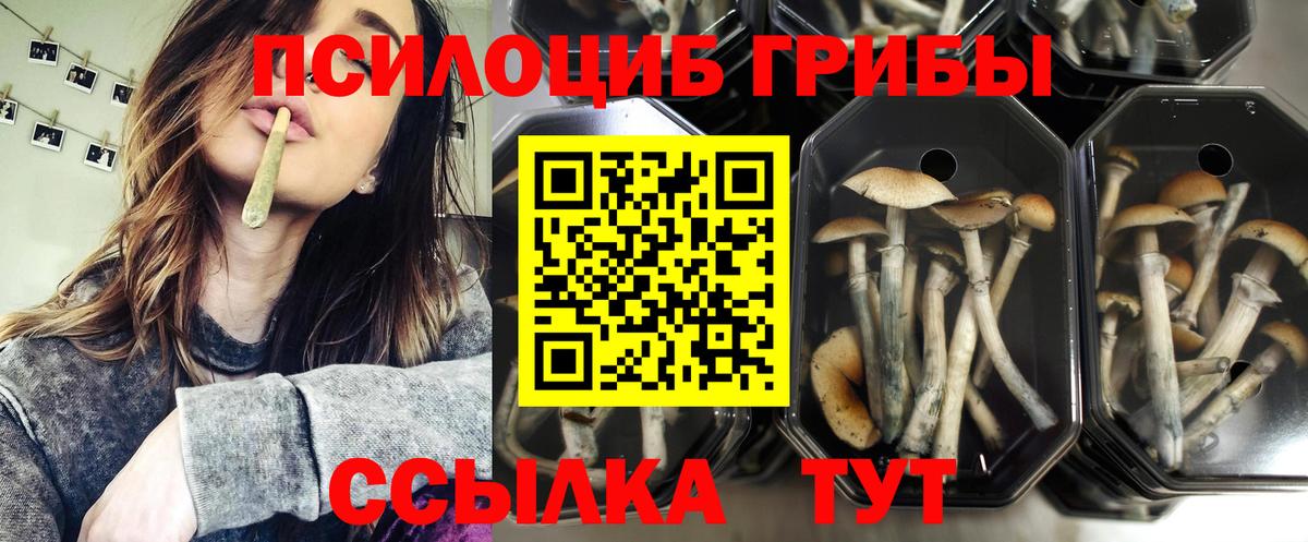 купить  сайты  Галлюциногенные грибы ЛСД  Вход с VPN  Новотроицк 
