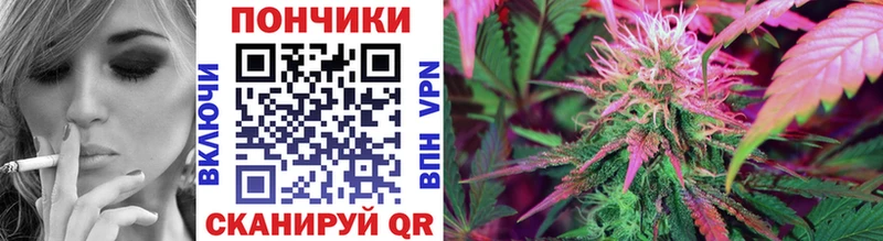 Бошки марихуана семена  Новотроицк 