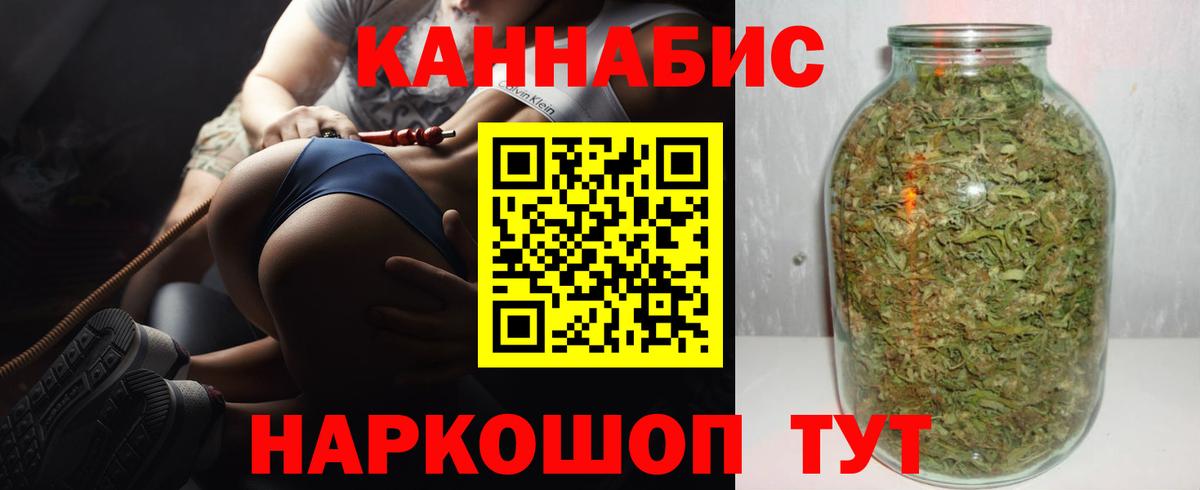 Бошки Шишки планчик Новотроицк